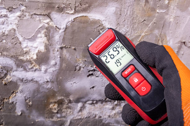 Best Attic Mold Removal  in Gladewater, TX