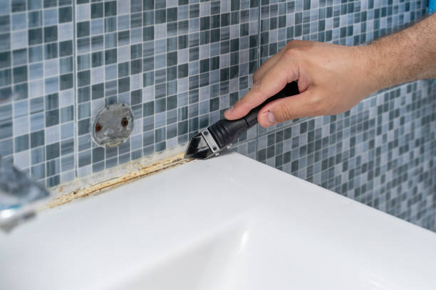 Best Home Mold Removal  in Gladewater, TX