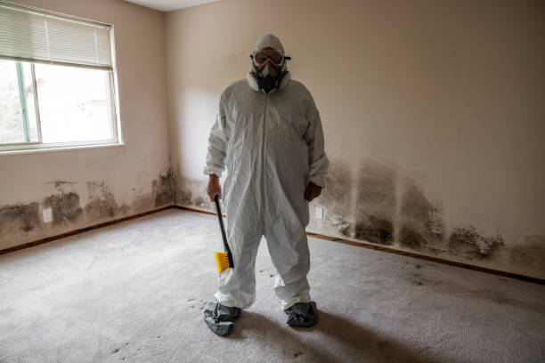 Mold Testing and Removal in Gladewater, TX